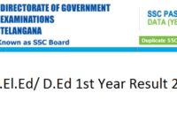 TS D.El.Ed 1st Year Result 2020 Date